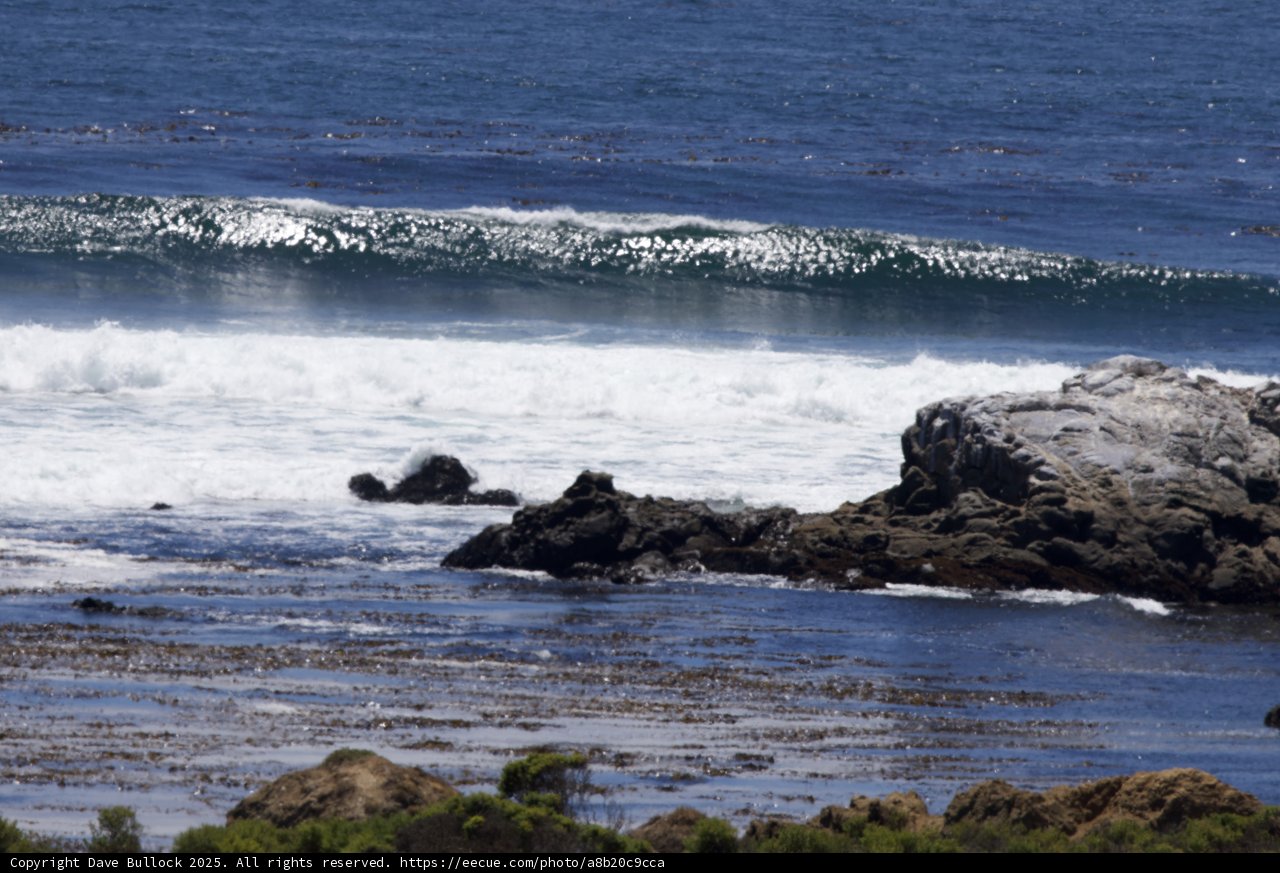 Coastal Serenity at Cayucos