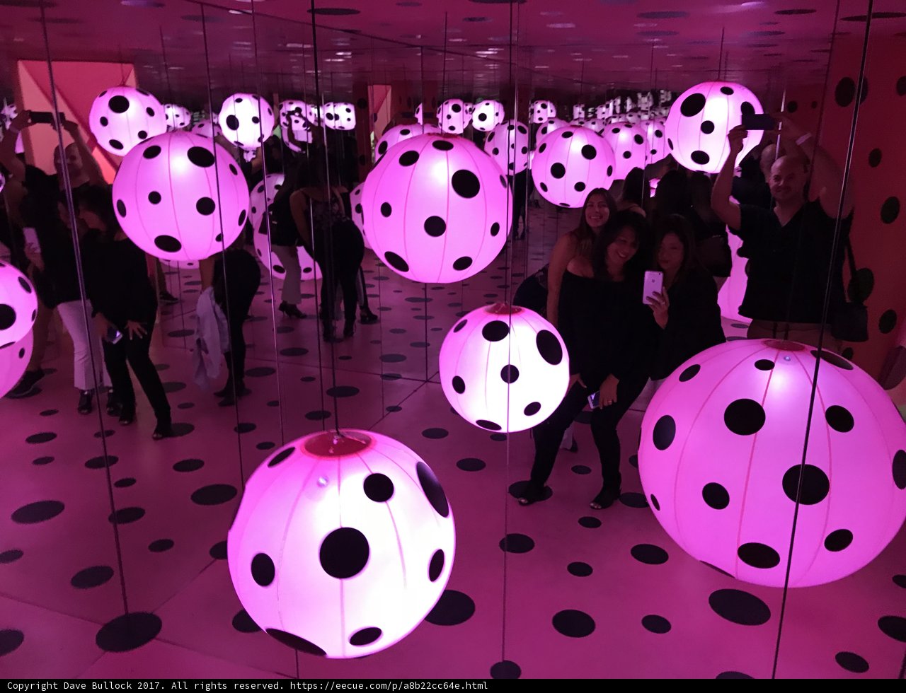 Polka Dot Party