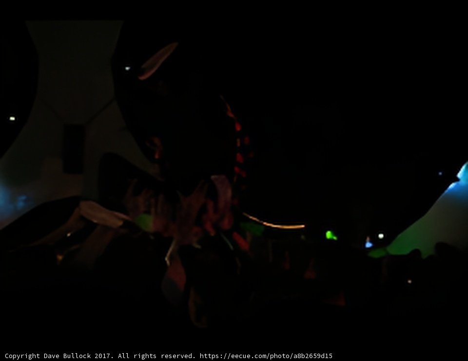 Spotlight in the Darkness