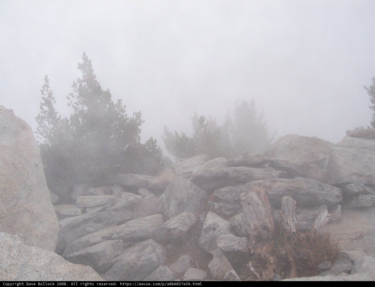 Mystical Views from the Foggy Mountain