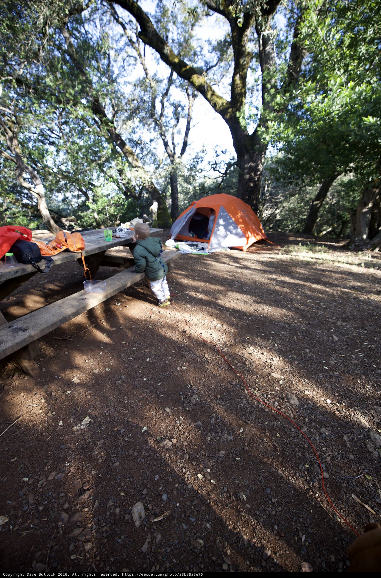 Toddler Explorer at Mount Diablo Campsite