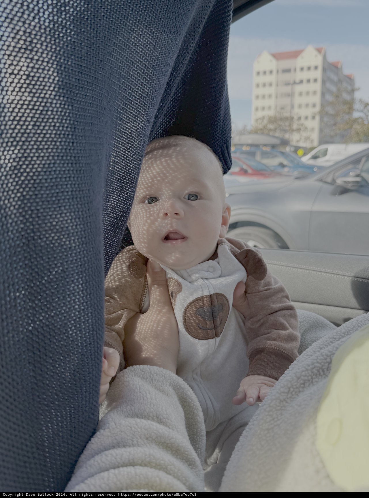 Baby's First Car Ride in Sunlight