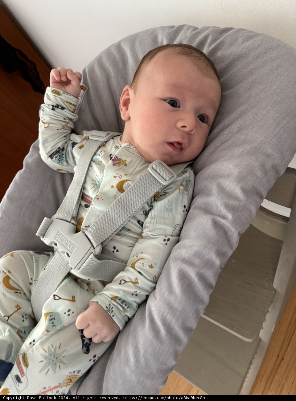 Leland’s Cozy Morning
