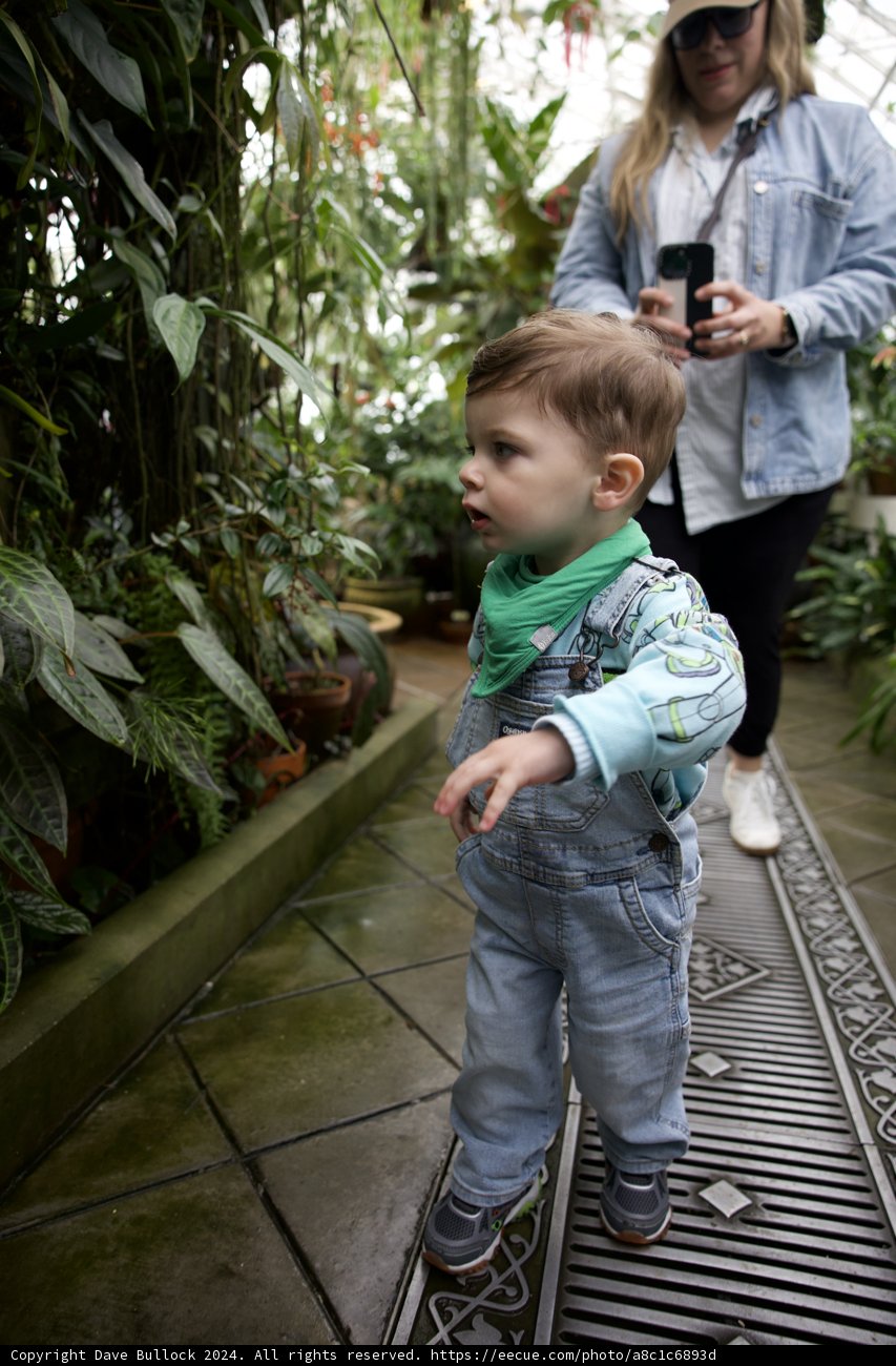 A Stroll Through the Greenhouse