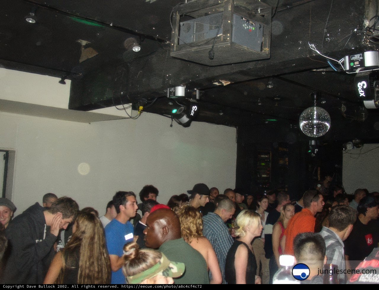 Nightlife in the Urban Jungle