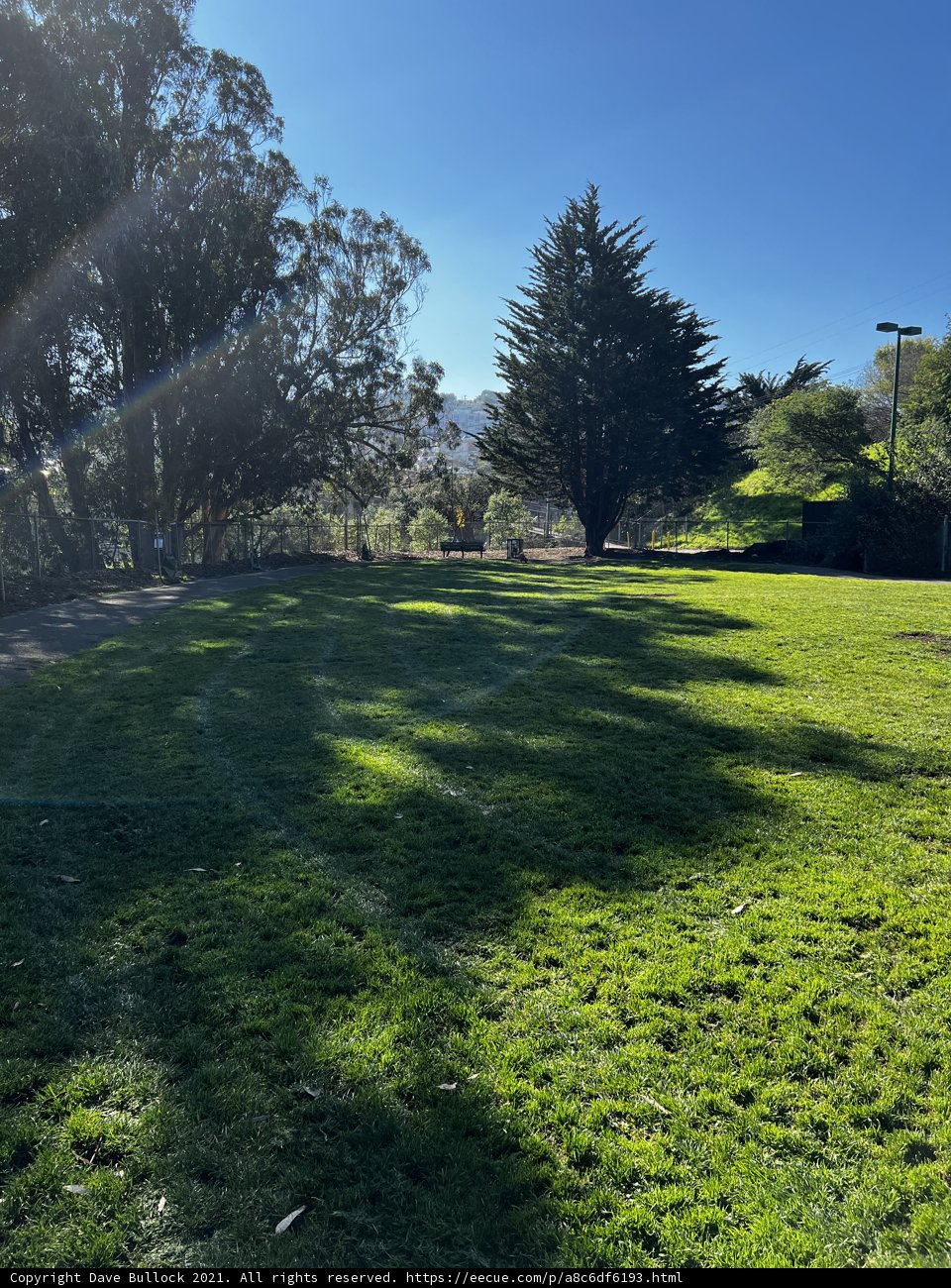 Serenity in the Field