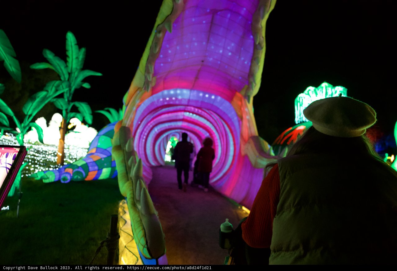 Enlightened Stroll at Glowfari Oakland Zoo