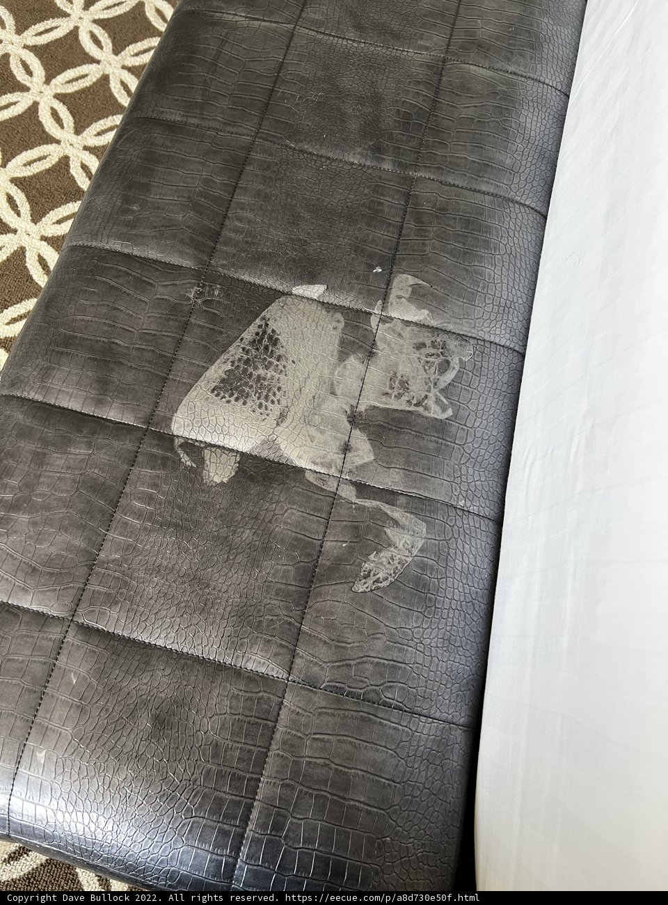 The Feline-themed Bed