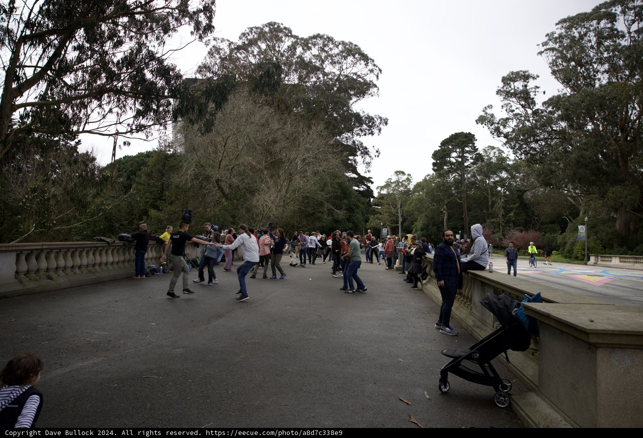 Extravaganza of Skateboarding at Golden Gate Park