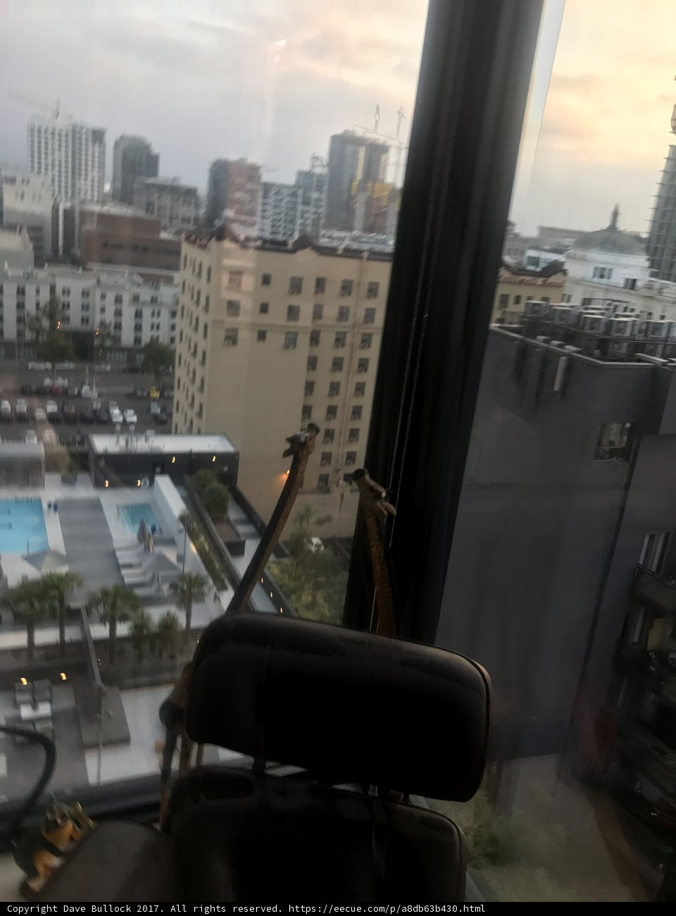 Urban Oasis