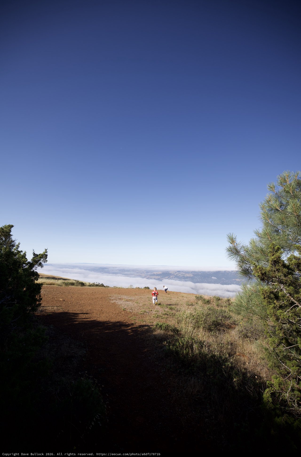 Trail Runners Above the Clouds at Mount Diablo