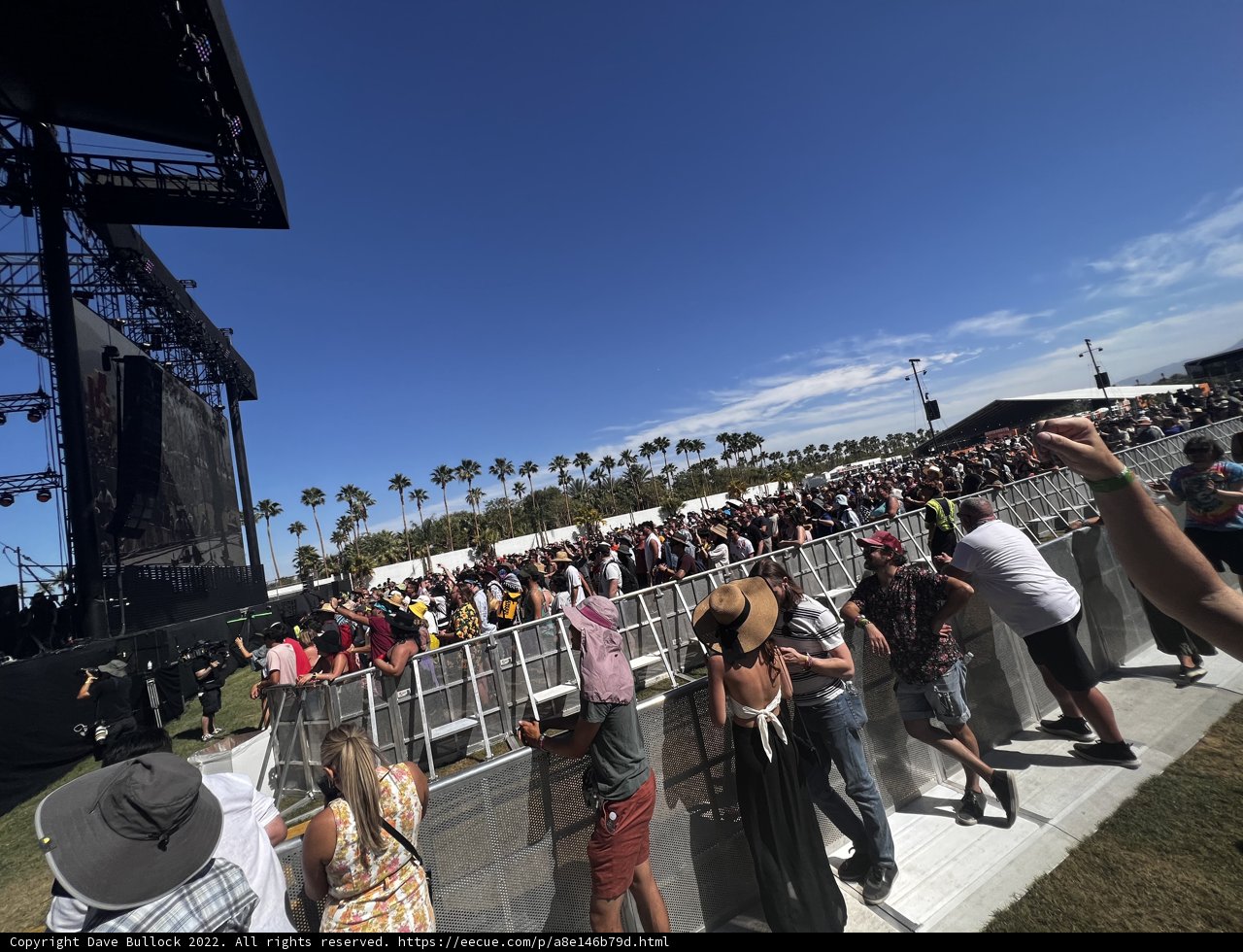 Concertgoers Soaking Up the Sun