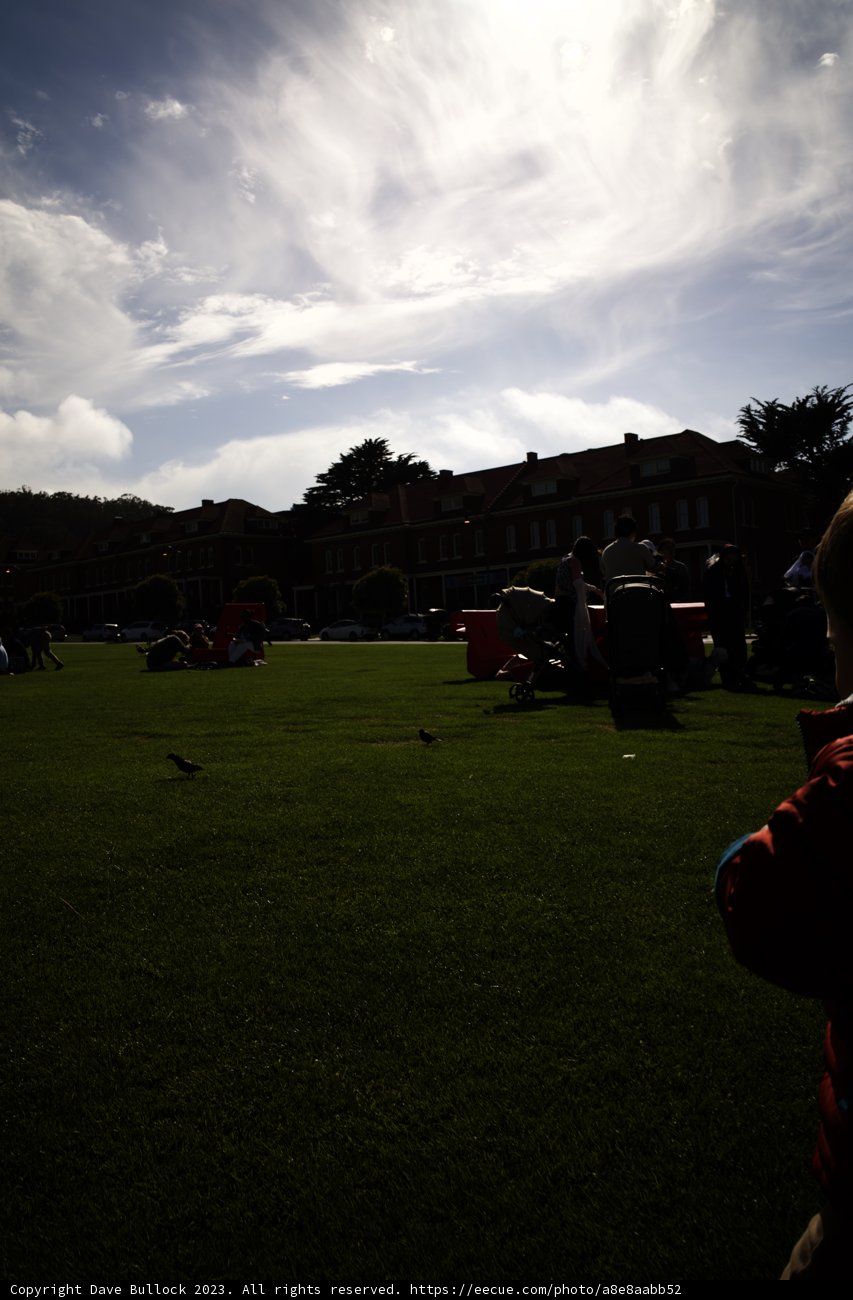 Summer Breeze and Kite Ease