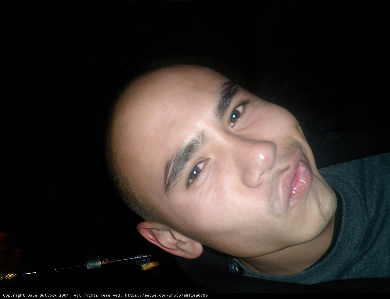 Bald and Bold