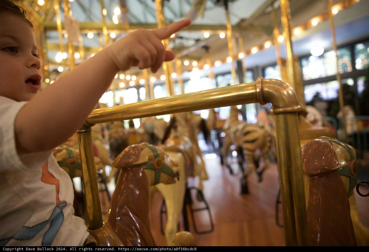 Pointing Out the Wonders: A Day at the Carousel
