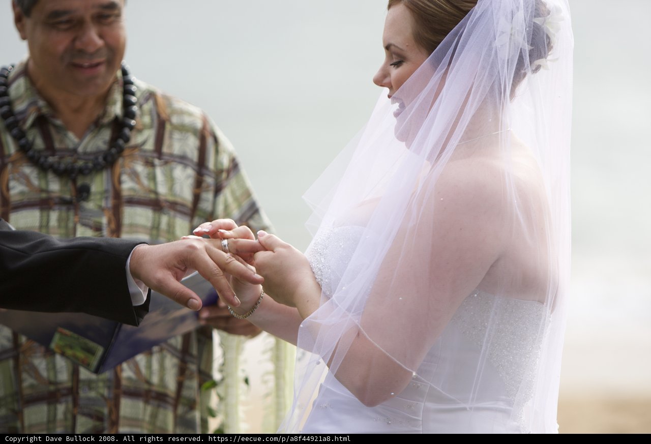 Beach Wedding Bliss