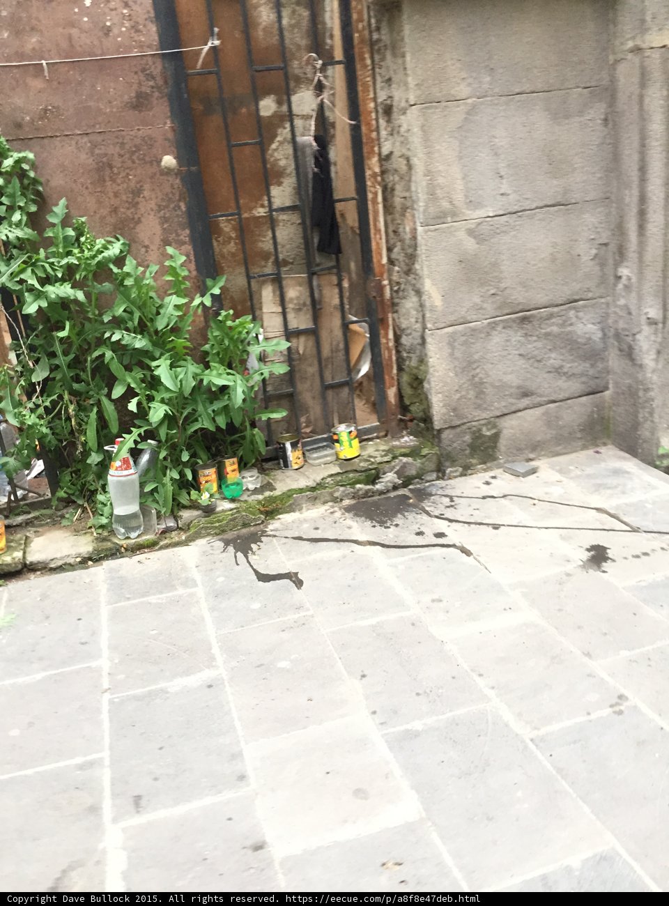Street Corner Still Life