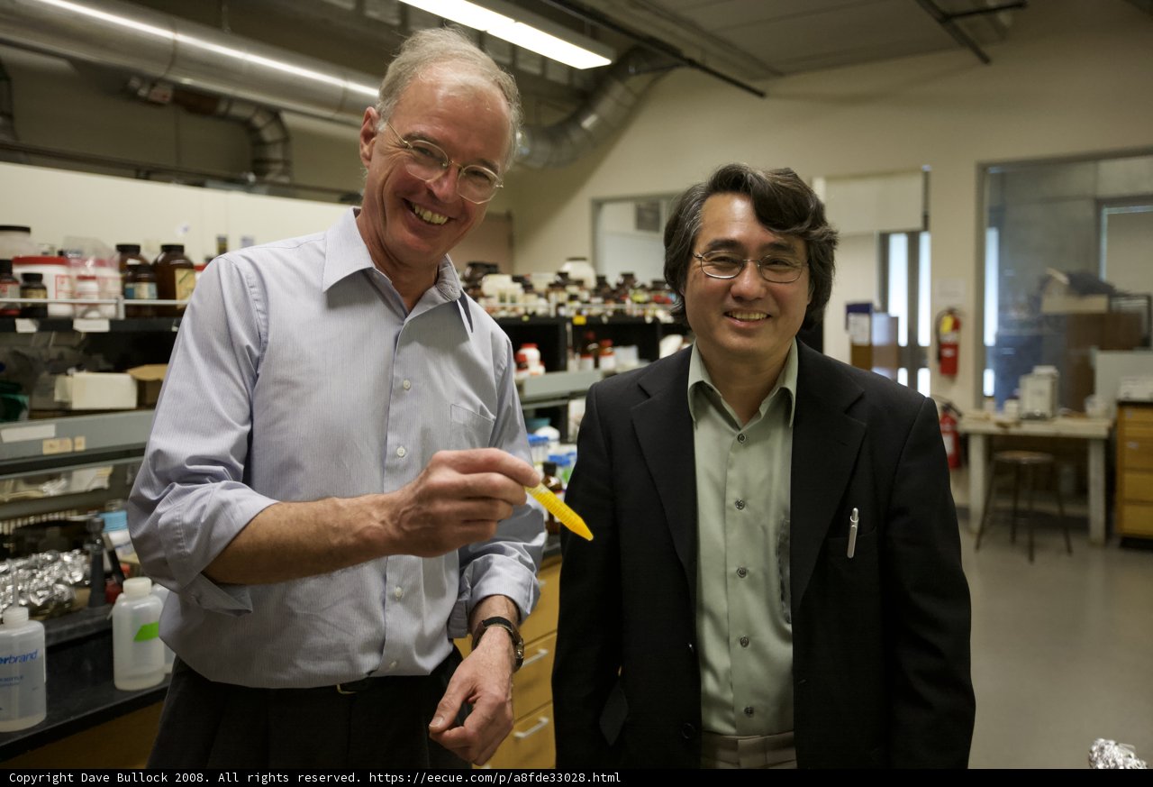 Exploring Nanomachines: Two Researchers Analyze Yellow Object