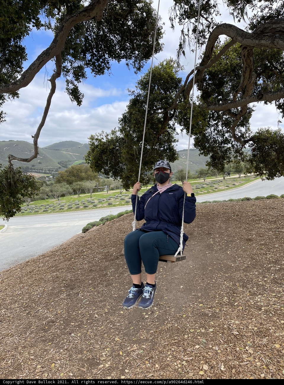 Serenity Swing