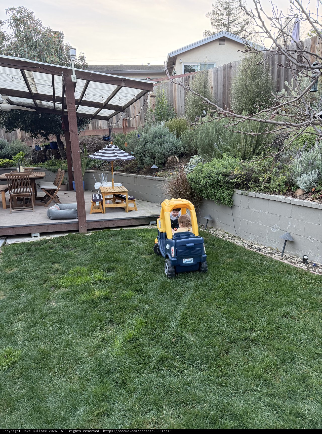 Toddler in Toy Truck Exploring Landscaped Backyard
