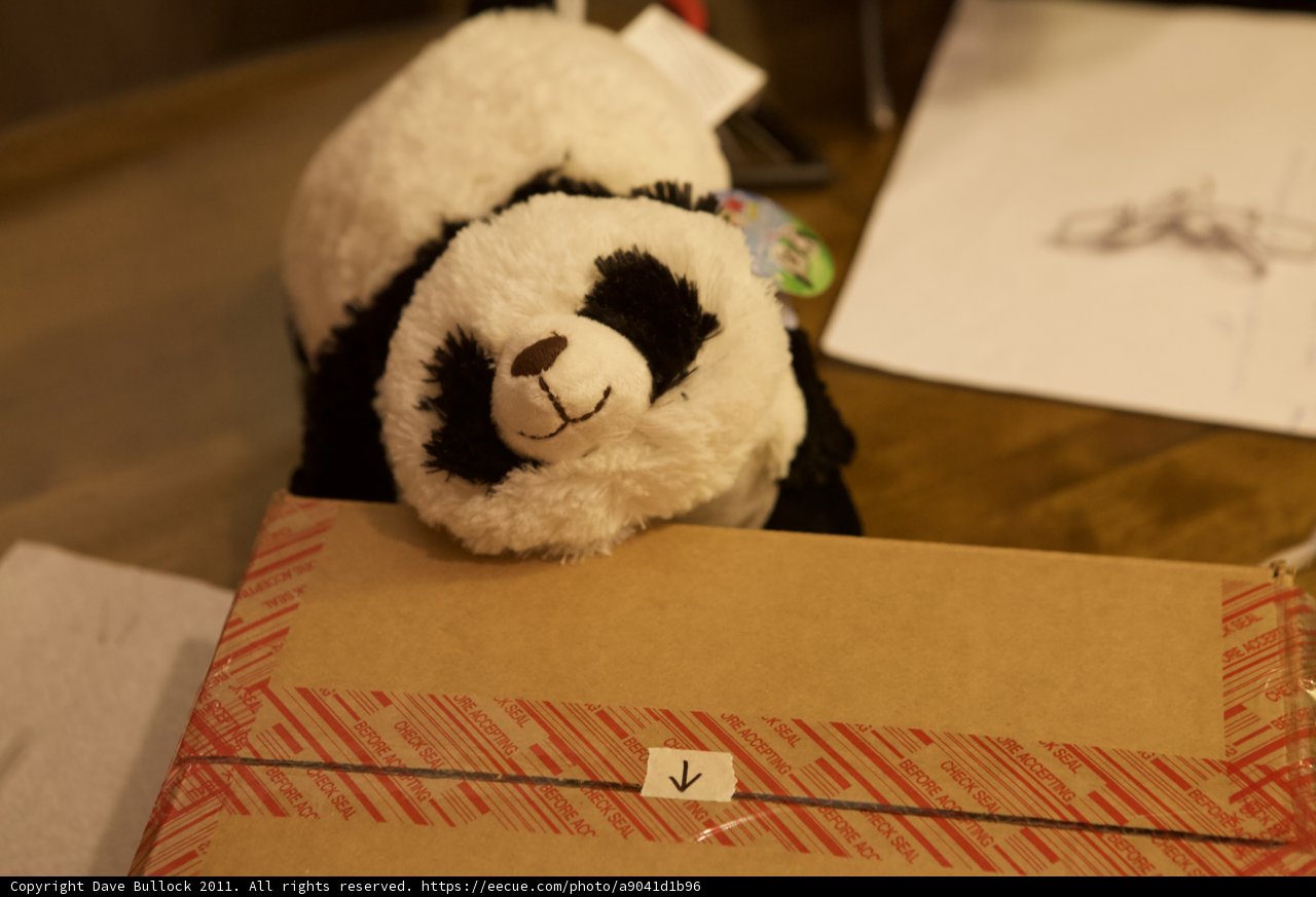 Boxed Panda Companion
