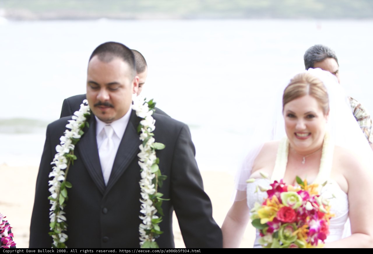 Beach Wedding Bliss