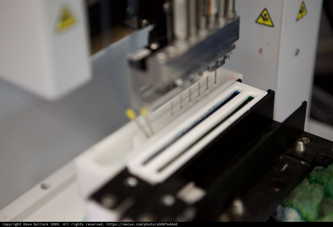 The Paper-Making Machine in Action
