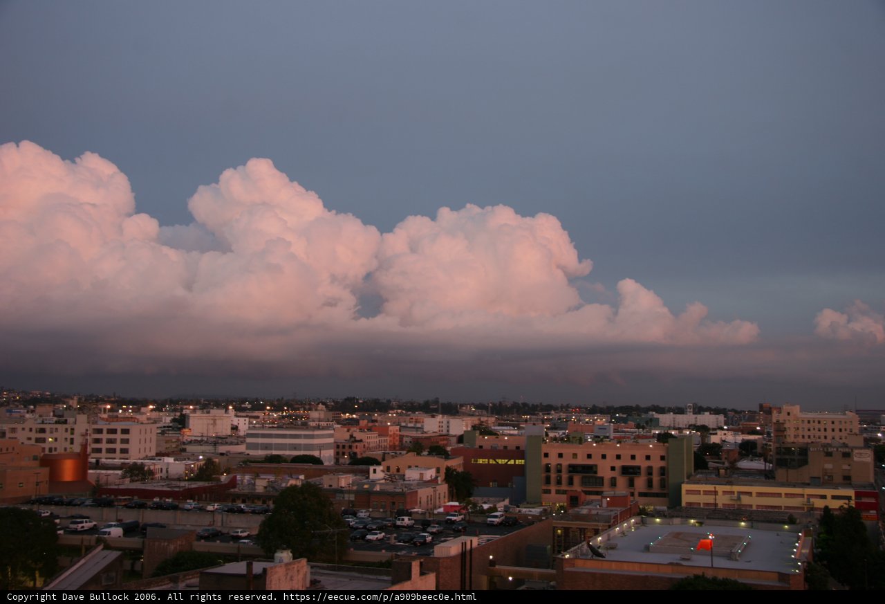 Skyline Splendor