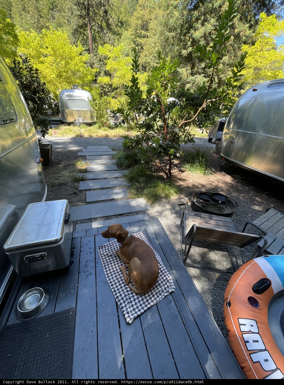 Deck Doggie Delight