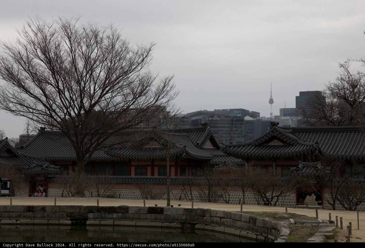 Sacred Serenity: An Urban Oasis in Korea