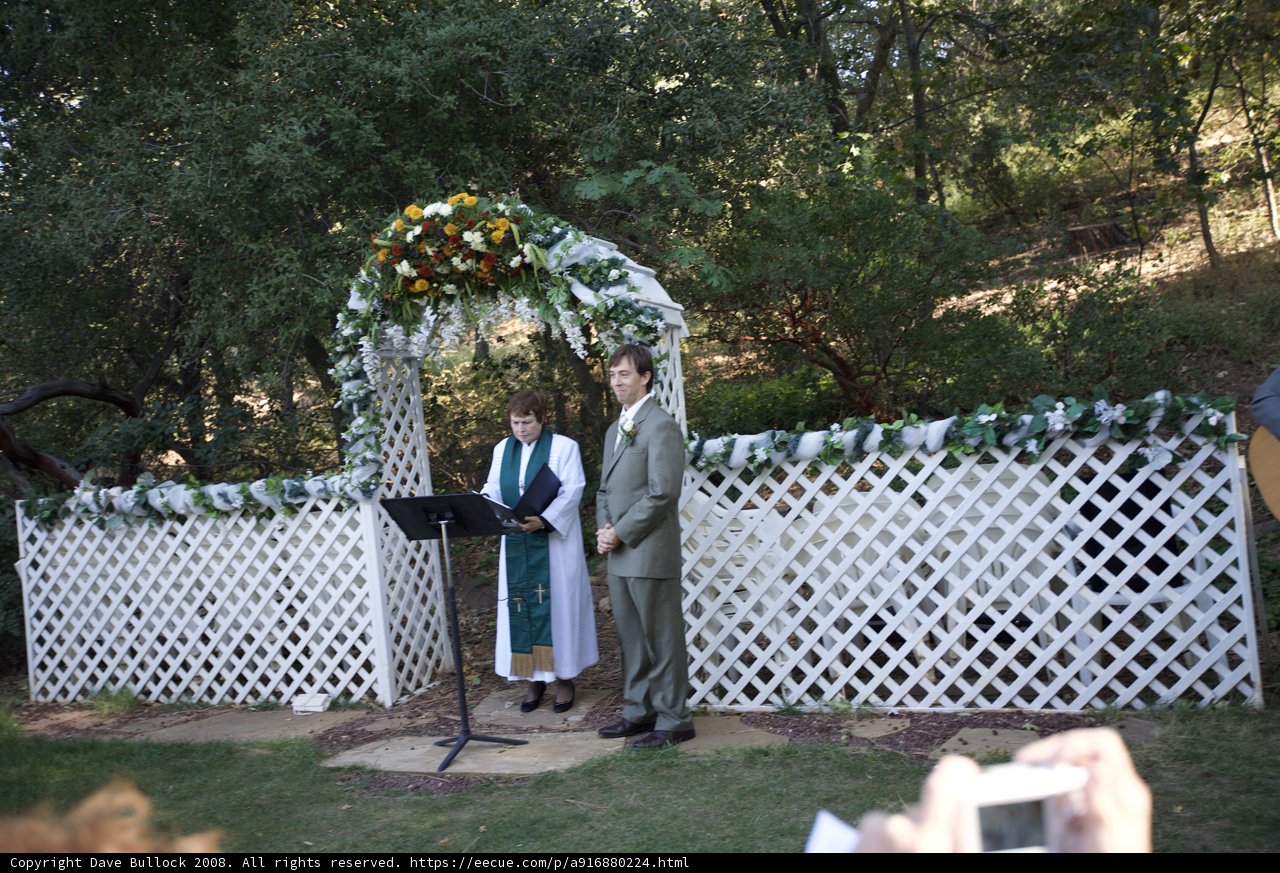 Truitt Wedding - A Picture Perfect Moment
