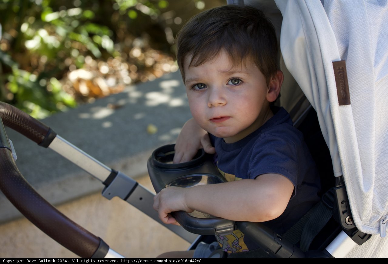 Curious Moments in Walnut Creek
