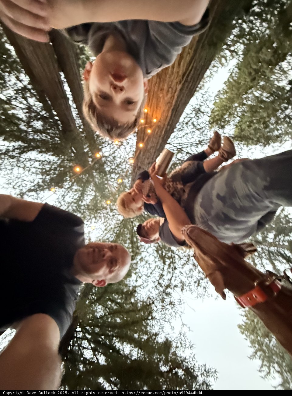 Laughter in the Grove