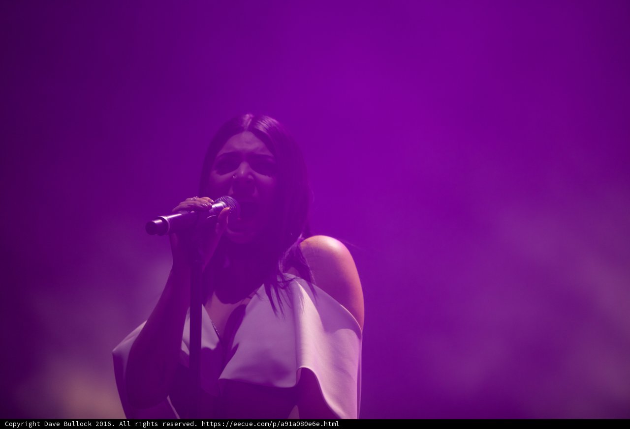 Purple Haze Performance