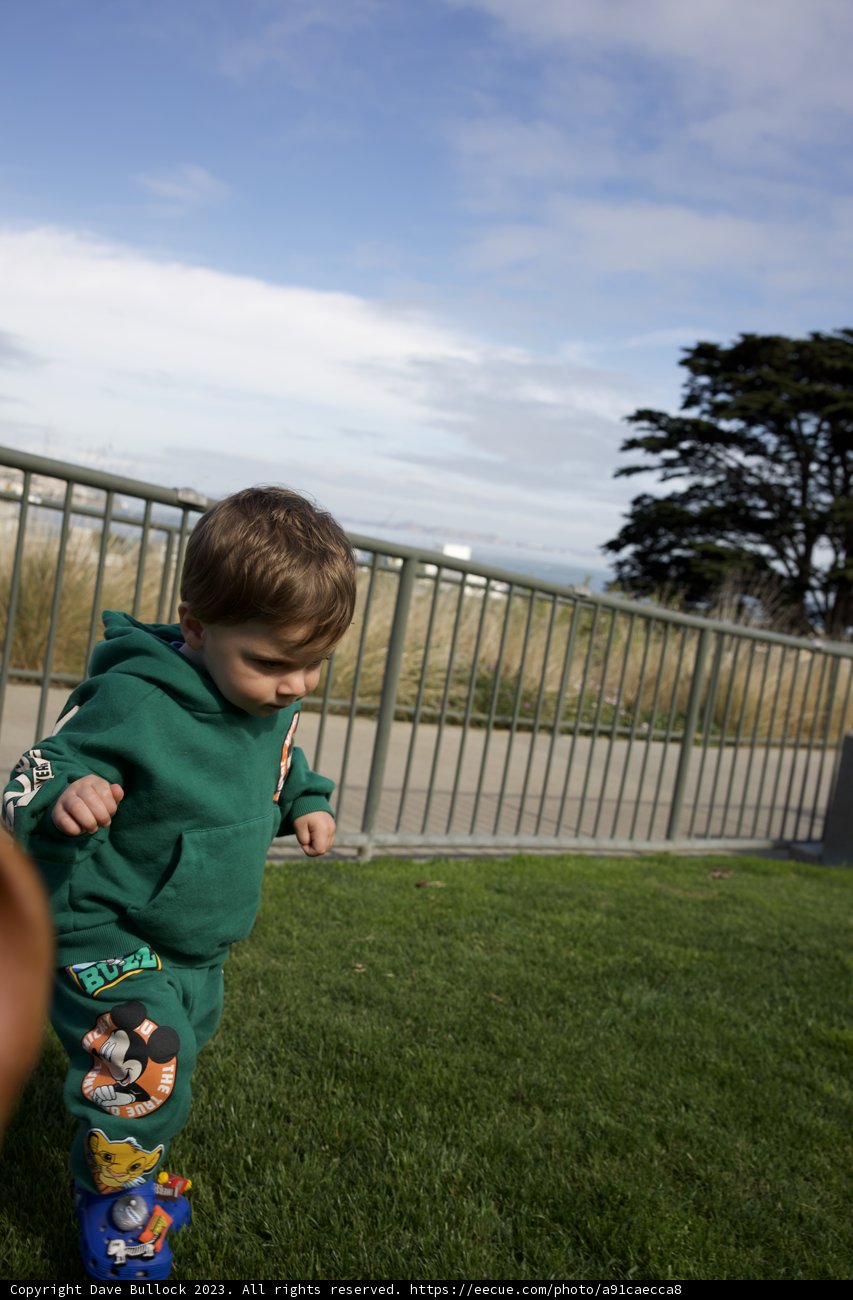 Youth Amidst Nature: Wesley in Francisco Park