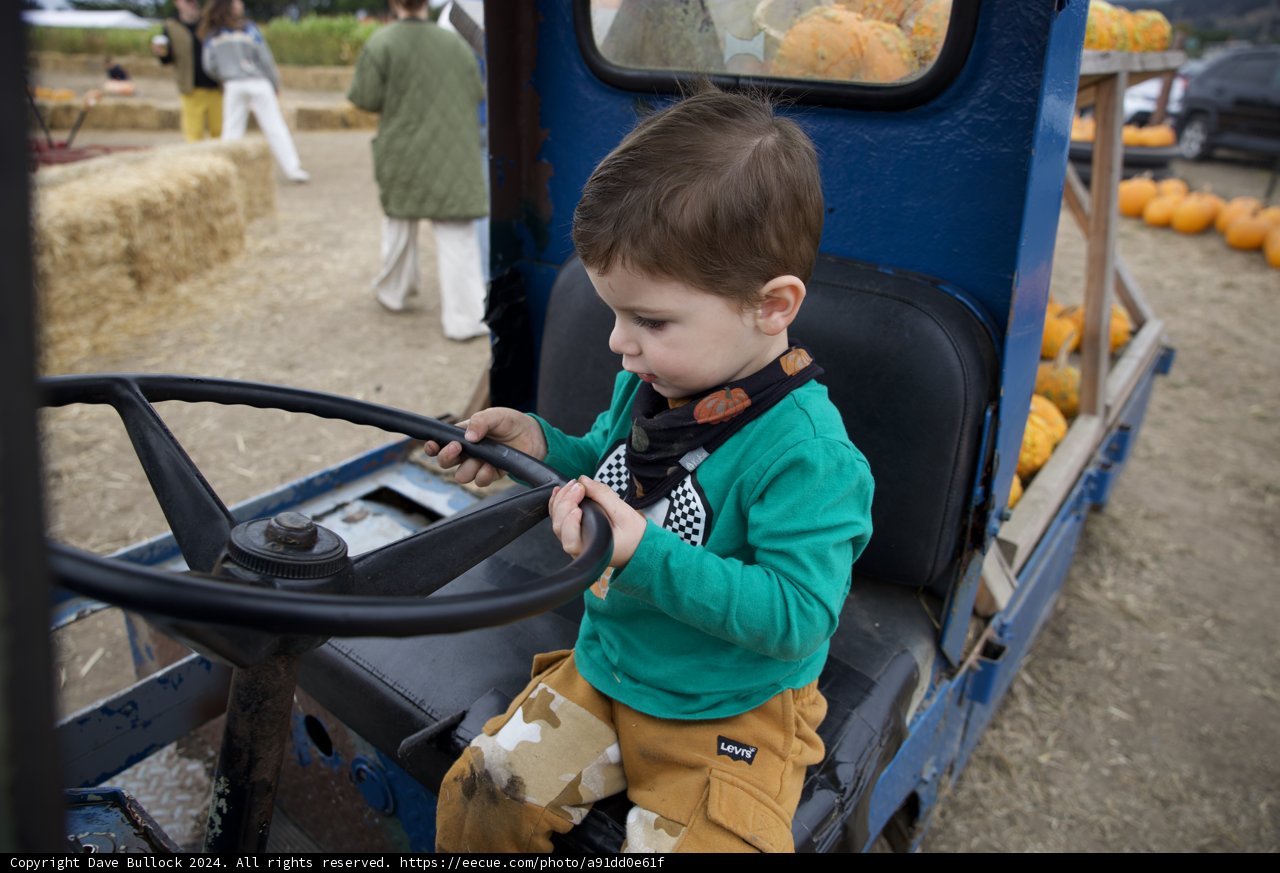 Mini Driver at the Pumpkin Patch