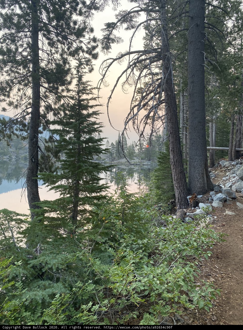 Into the Wilderness