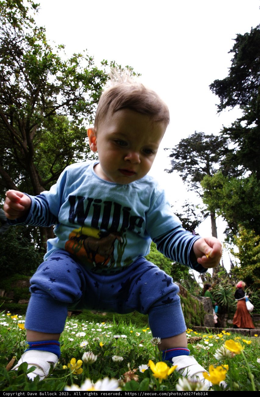 A Joyful Day in the Botanical Garden