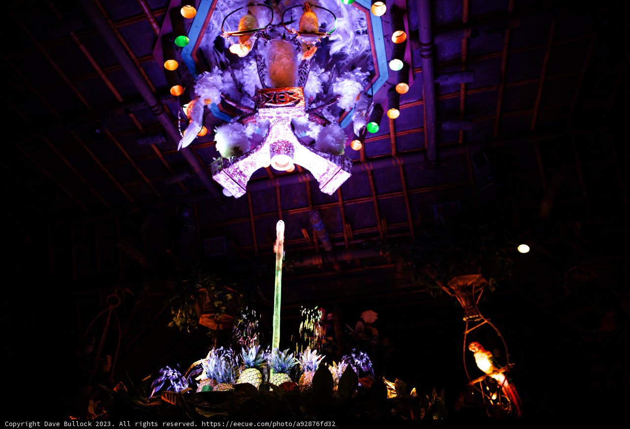 Majestic Chandelier at Disneyland