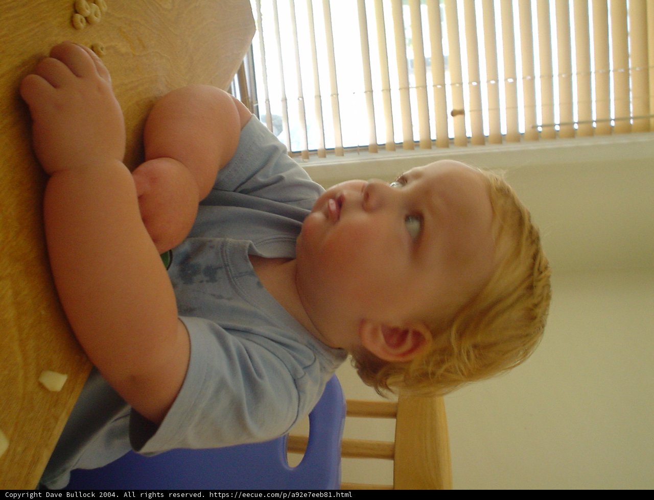 Little One at the Table