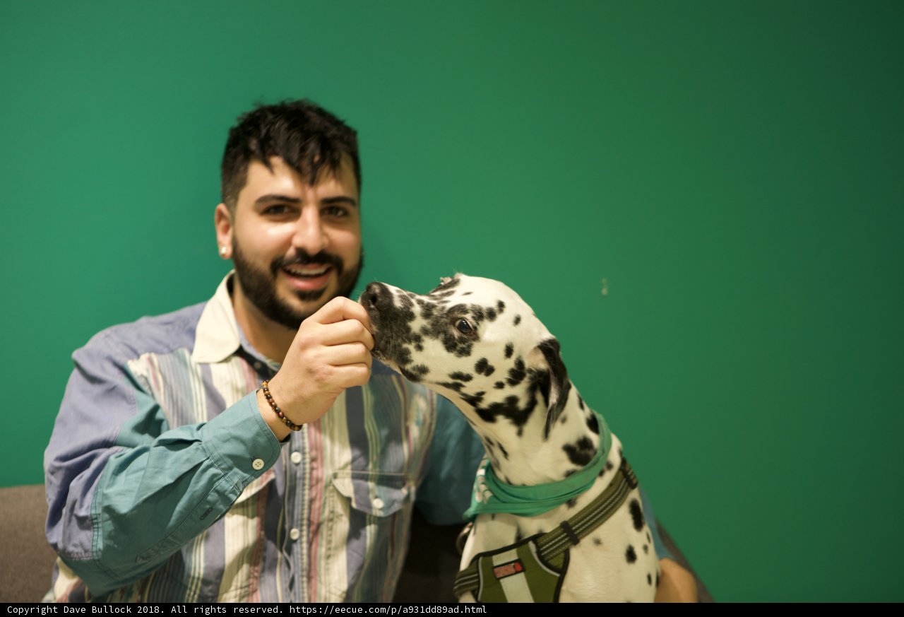 Man's Best Friend