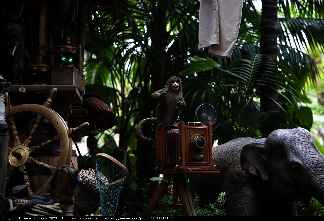 The Elephant Photographer: A Whimsical Adventure