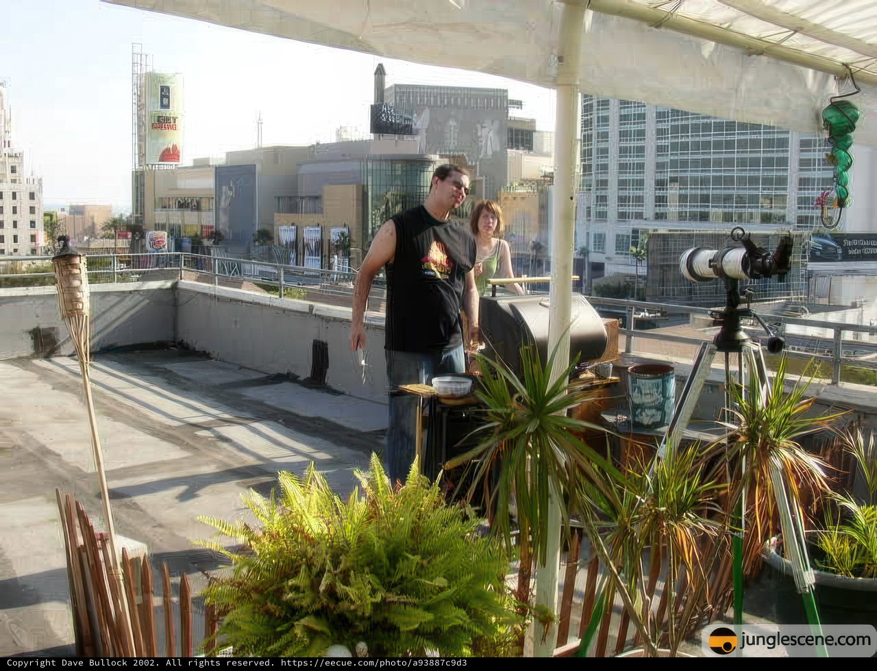 Rooftop Photography