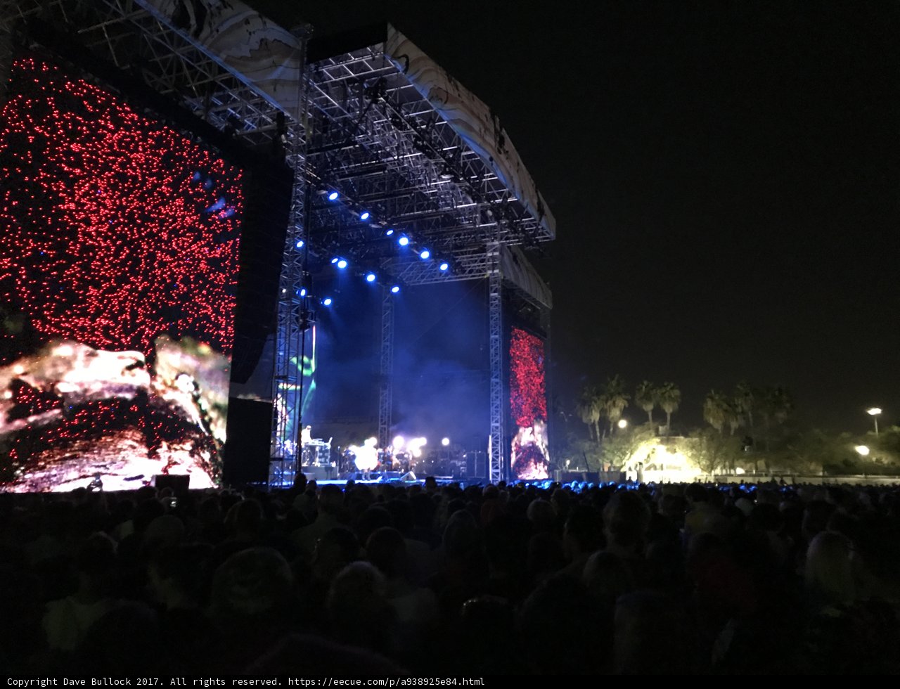 Rocking Under the Night Sky