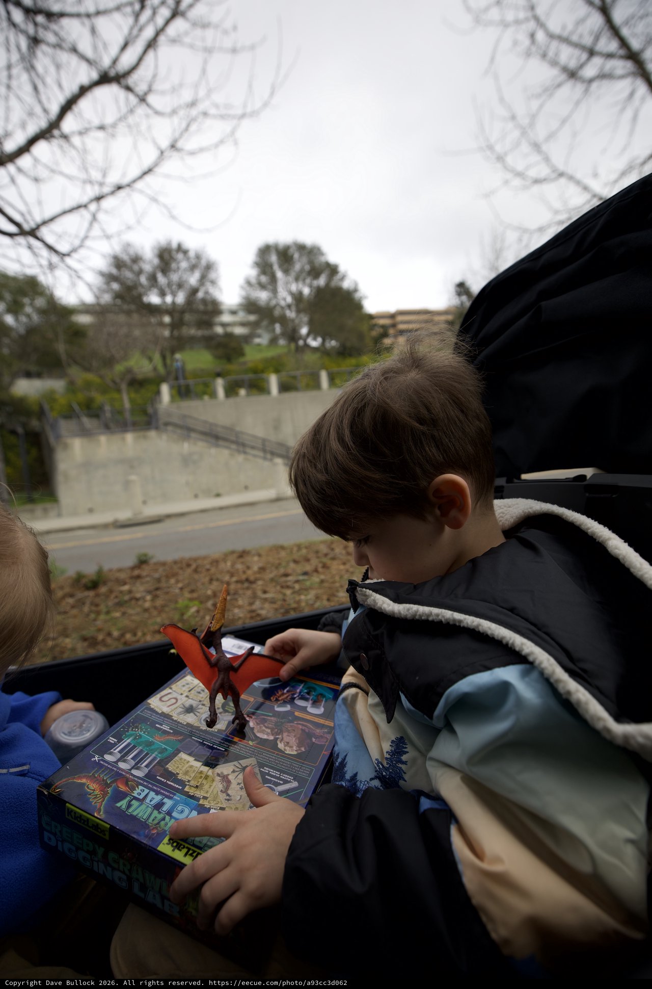 Child Reading Dinosaur Book on Road Trip