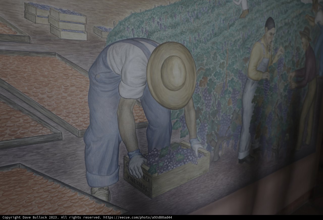 The Grape Harvest