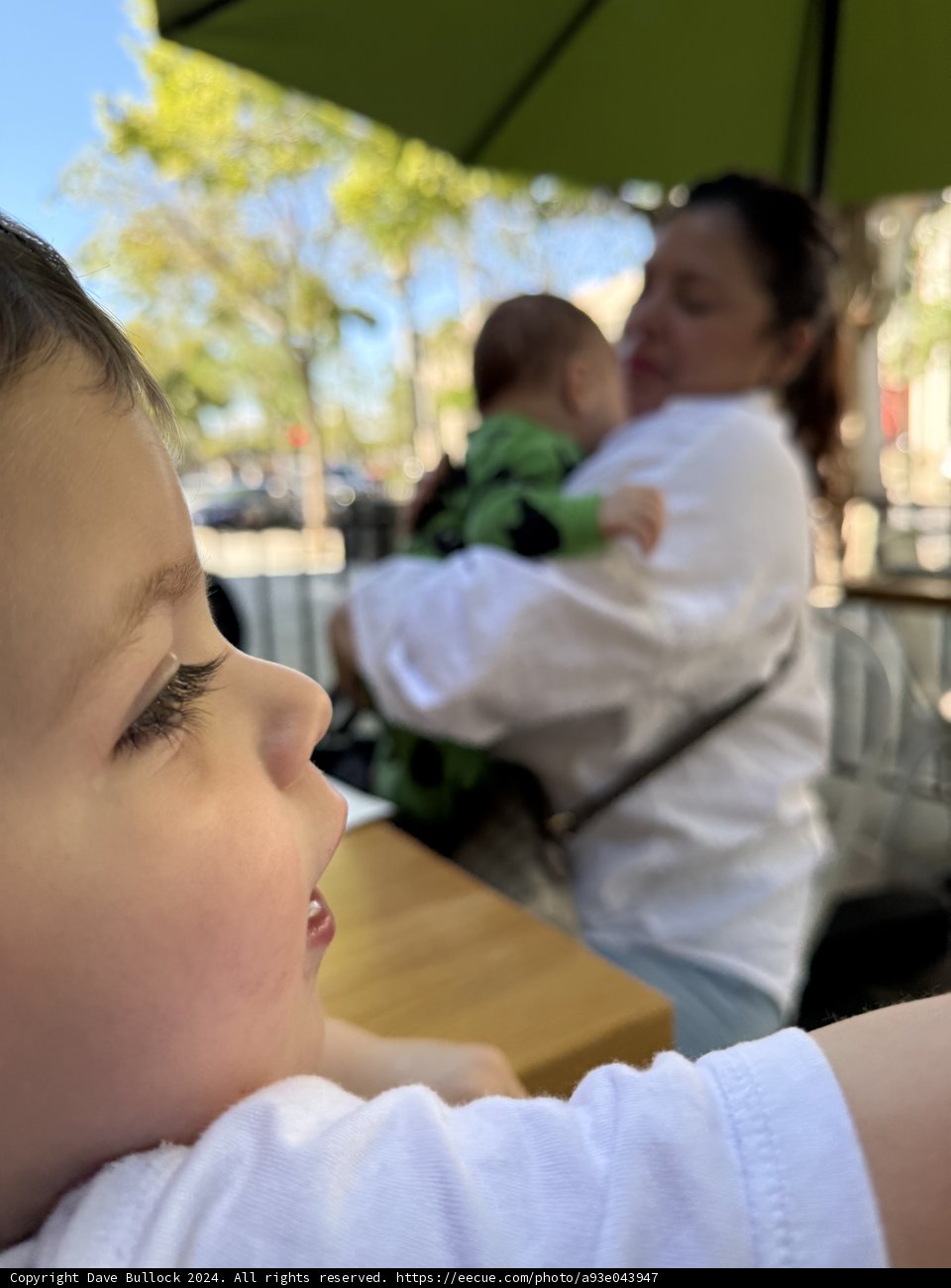 Moments of Wonder