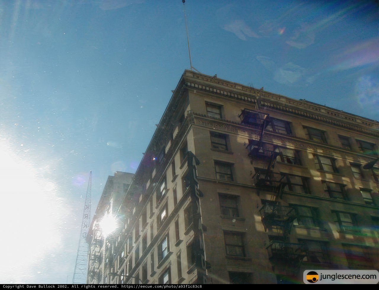 Urban Kite Flying