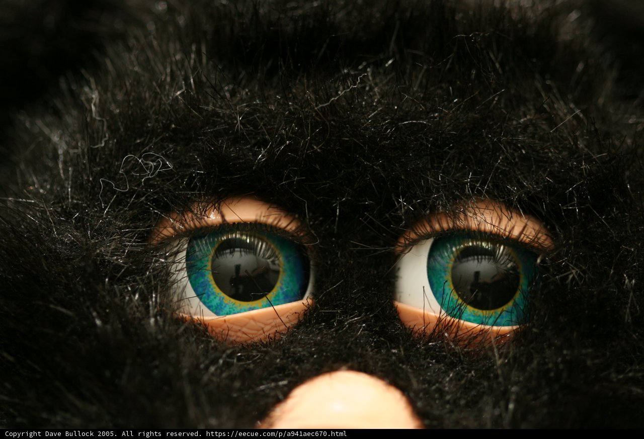 Blue-Eyed Black Cat Stuffed Animal