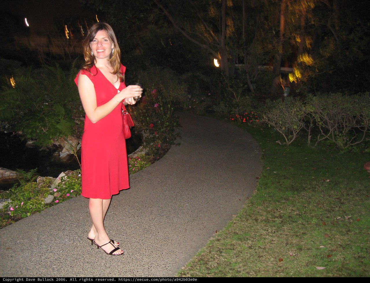 Woman in Red Dress on Garden Pathway at Night